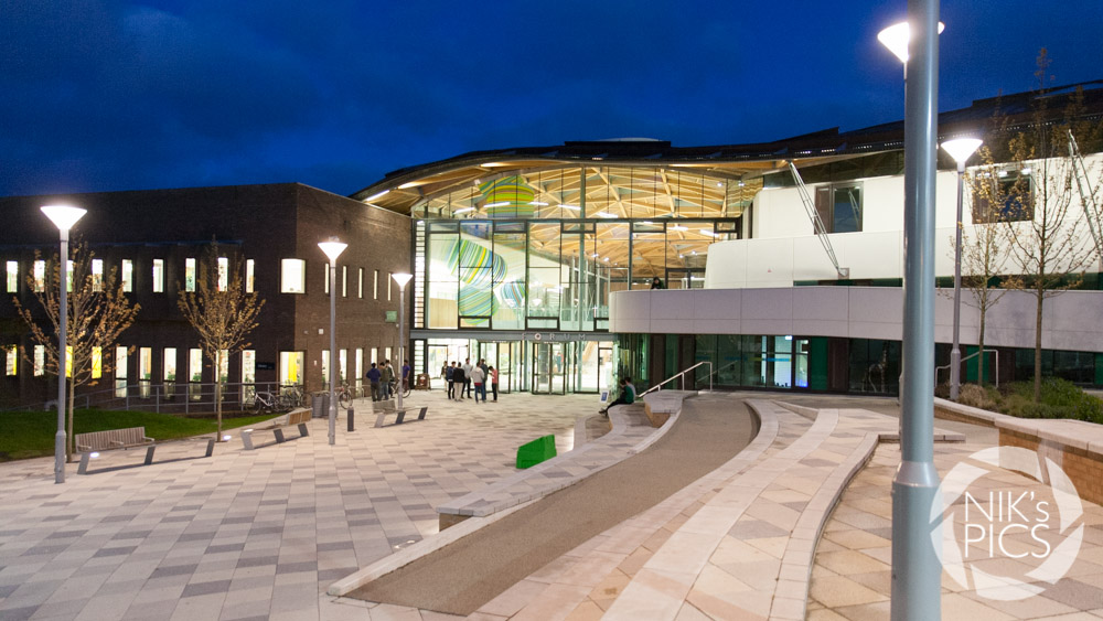 The University